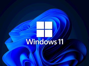 Win11