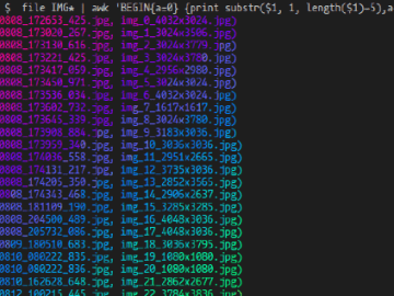 Batch renaming images, including image resolution, with awk