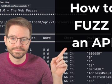 Hacking APIs: Fuzzing 101