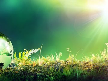 How sustainability software bears broad benefits beyond cost savings