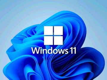 Windows 11