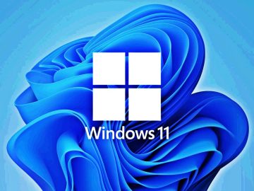 Windows 11