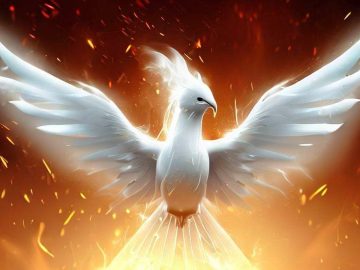 White phoenix