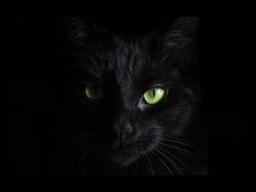 BlackCat ransomware