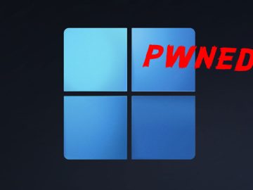 Windows Vulnerability