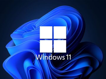 Windows 11