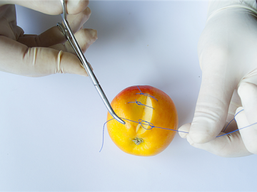 hands in surgical gloves stitching an apple