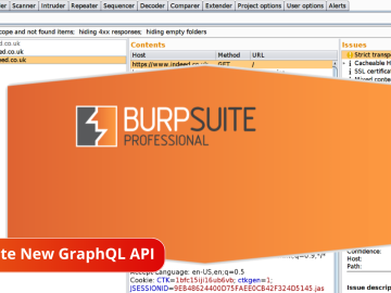 Burp Suite GraphQL API