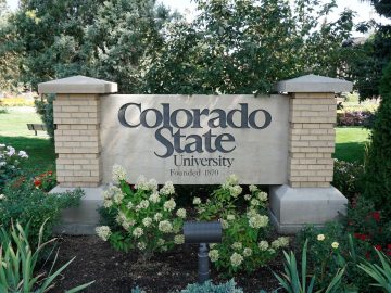 Colorado State University