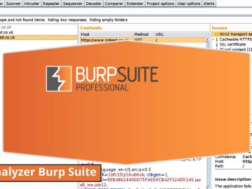 DNS Analyzer Burp Suite