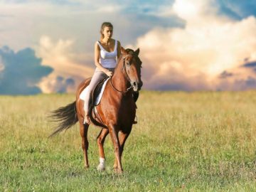 Horse Riding details of 10k users leaked by Ransomware group