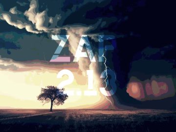 ZAP 2.13 Review ⚡️