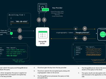 MongoDB Queryable Encryption enables organizations to meet data-privacy requirements