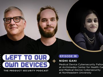 Championing cybersecurity regulatory affairs with Nidhi Gani