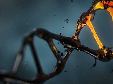 DNA