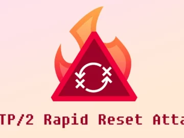 HTTP/2 Rapid Reset Zero-Day Vulnerability