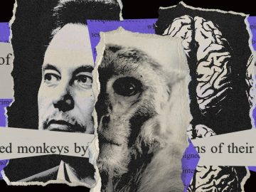 How Neuralink Keeps Dead Monkey Photos Secret