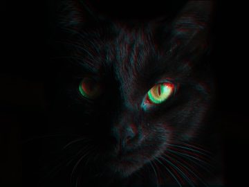 BlackCat ransomware shuts down in exit scam, blames the “feds” BlackCat ransomware exit scams and blames the feds