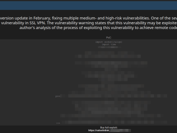 CVE-2024-21762 Exploit Sale