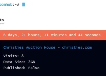 Christie's RansomHub Auction House 2