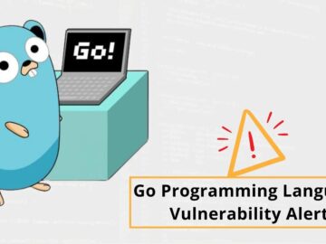 Golang Vulnerability Alert: Remote Code Execution & Infinite Loop DNS Lookup