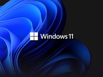 Windows 11