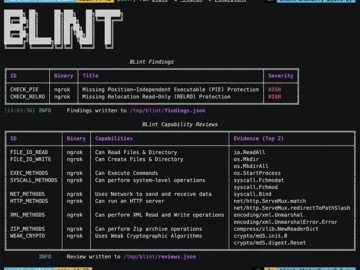 BLint: Open-source tool to check the security properties of your executables