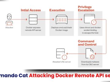 Commando Cat Attacking Docker remote API servers to Deploy Crypto Miners