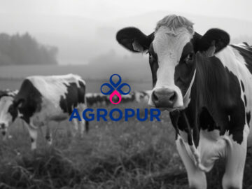 Dairy giant Agropur says data breach exposed customer info