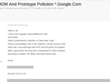 Prototype Pollution and XSS-DOM Vulnerability