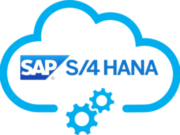 How to reduce risk during SAP S/4HANA Migration with Automation How to reduce risk during SAP S/4HANA Migration with Automation