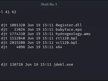 Malware peddlers experimenting with BPL sideloading and masking malicious payloads as PGP keys