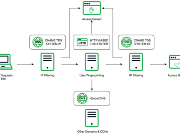 Chinese Cybercrime Network