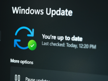 Microsoft Patch Tuesday, July 2024 Edition – Krebs on Security Microsoft Patch Tuesday, July 2024 Edition – Krebs on Security