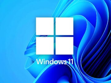 Windows 11