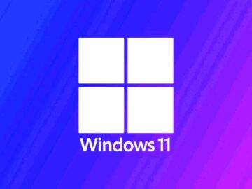 Windows 11