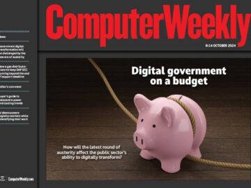 Digital government on a budget