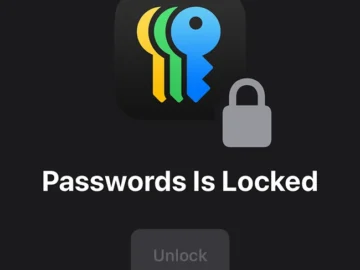 How to use the Apple Passwords app