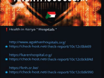 Sudanese Brothers Arrested in ‘AnonSudan’ Takedown – Krebs on Security Sudanese Brothers Arrested in ‘AnonSudan’ Takedown – Krebs on Security