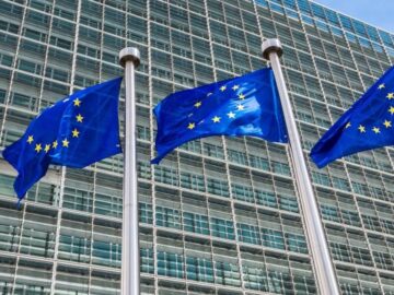 EU law could usher in transformative change to digital ecosystems EU law could usher in transformative change to digital ecosystems