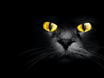 BlackCat gang uses legitimate pen testing tool to attack its victims | Cybernews