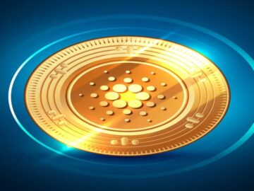 Best Practices to Prevent Theft and Fraud Cybersecurity in Crypto: Best Practices to Prevent Theft and Fraud