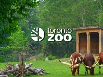 Toronto Zoo