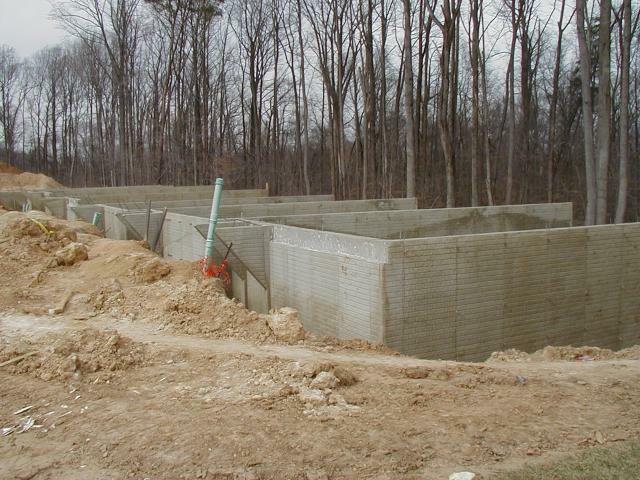 How I Learned Integrity: A “Don’t Tase Me, Bro” Lesson How I Learned Integrity: A “Don’t Tase Me, Bro” Lesson