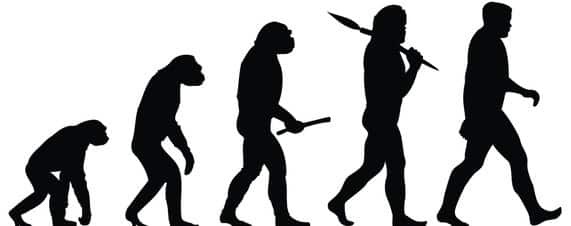 How Would You Prove Evolution? How Would You Prove Evolution?