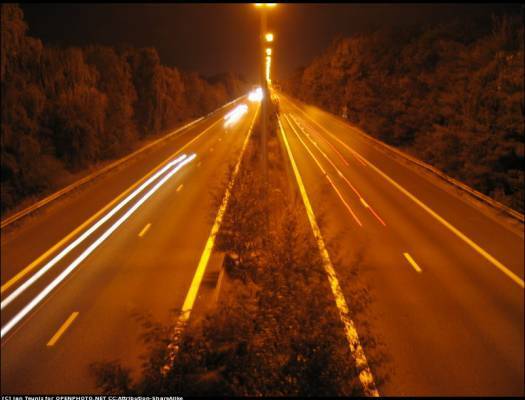 The Idiotic Irony of Opposing Equality for Homosexuals