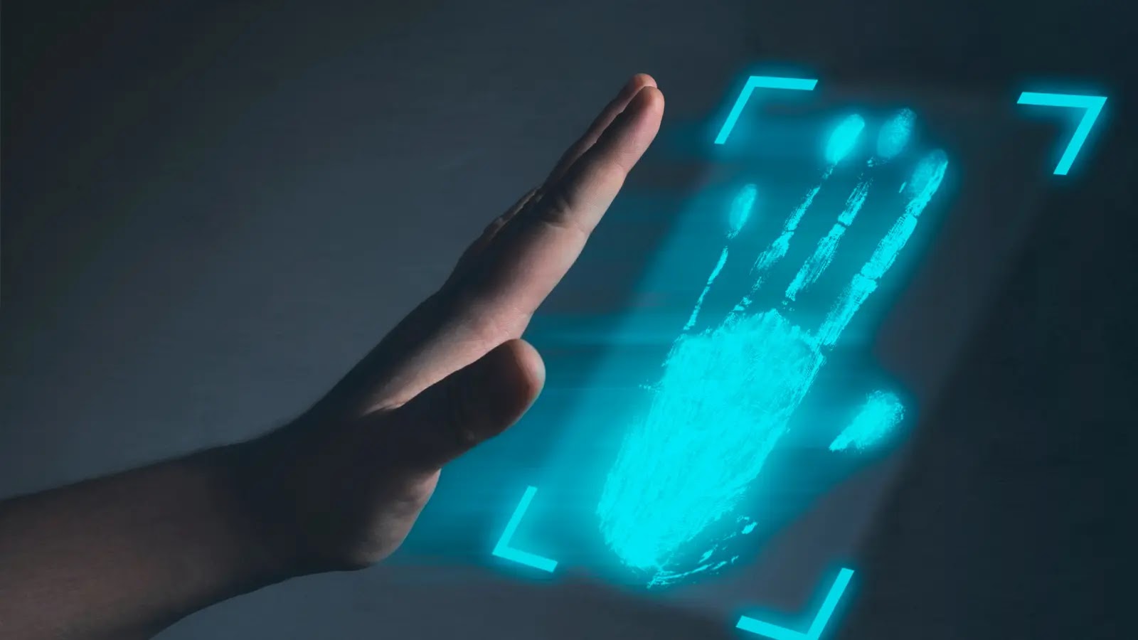 Identity and Access Management Trends Shaping 2025 Identity and Access Management Trends Shaping 2025