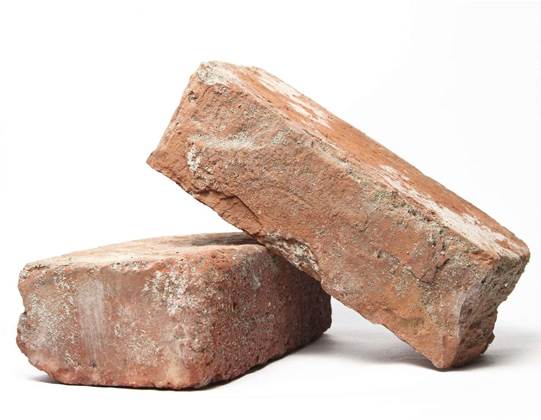 Stealthy, persistent “BRICKSTORM” spying backdoor found in network infrastructure Stealthy, persistent