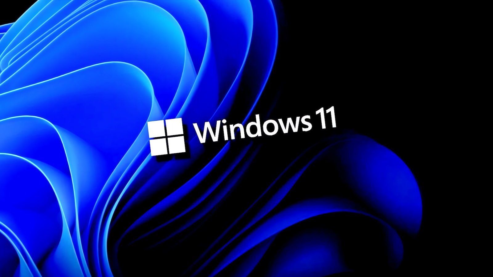 Windows 11