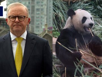 Hot regional issues like South China Sea expose Australians to foreign agents: spy chief